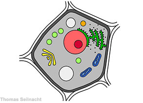 Folienbeispiel