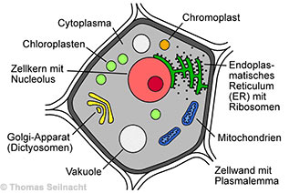 Folienbeispiel